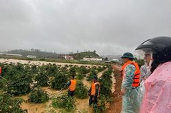 Tìm thấy thi thể một nữ du khách bị nước lũ cuốn trôi ở Lâm Đồng