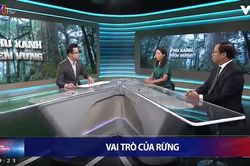 Sự kiện và bình luận VTV1 – Chương trình truyền hình chính luận nổi bật năm 2020