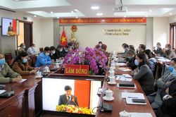 Hội nghị trực tuyến toàn quốc về phòng chống HIV/AIDS