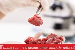 Singapore chính thức cấp phép bán 'thịt nuôi cấy' trong phòng thí nghiệm