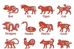 Dự đoán ngày mới 04/12/2020 cho 12 con giáp: Mão lao dốc, Sửu bùng nổ