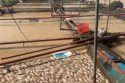 Người dân khốn đốn vì hàng tỷ đồng bị nước cuốn trôi