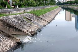 Hà Nội đã thực hiện cải tạo môi trường nước sông Tô Lịch và nước Hồ Tây đến đâu?