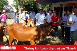 Hiệu quả các mô hình sinh kế cho hộ nghèo có hoàn cảnh khó khăn ở Quảng Xương