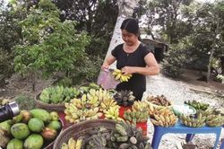 Hàng quê mộc mạc, 'chính hiệu' nhà trồng!