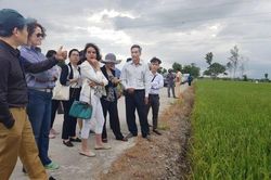 Thay đổi thói quen sản xuất của nông dân