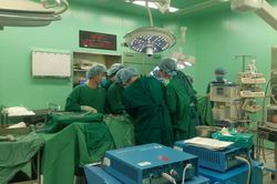 Từ Vũng Tàu tạng được hiến 'đi' 3 miền đất nước cứu người