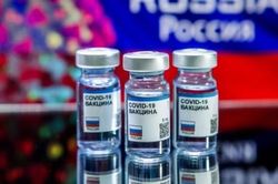 EU và Nga thảo luận về khả năng cấp phép cho vaccine Sputnik V ngừa Covid-19 của Nga