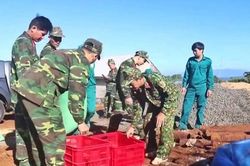 Đào móng làm nhà, phát hiện gần 1 tấn bom, mìn, đạn dược