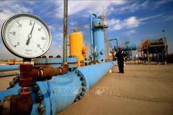 OPEC+ nhất trí tăng sản lượng dầu thêm 500.000 thùng/ngày
