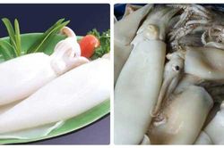 Mua mực tươi không biết mẹo này dễ mua nhầm mực bị tẩy trắng