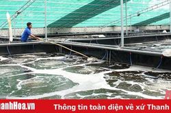 Thị xã Nghi Sơn phát triển kinh tế biển theo hướng bền vững