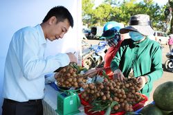Cơ hội kết nối, giao thương nông sản an toàn