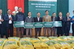 Hỗ trợ 5 tấn lúa giống và 900 con gà giống cho người dân Triệu Phong