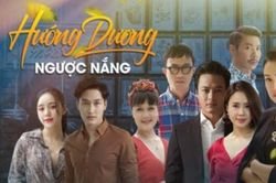 'Hướng dương ngược nắng'