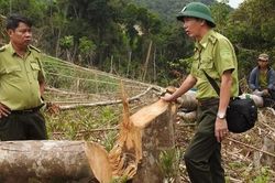 Quảng Trị: Lâm tặc đập phá xe máy của nhân viên bảo vệ rừng