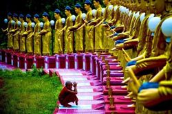 Đối luận về Phật pháp cốt để an lạc