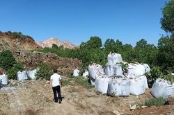Mang chất thải từ Ninh Bình về Thanh Hóa đổ trộm, bị phạt 80 triệu đồng
