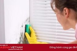 3 cách đơn giản loại bỏ nấm mốc trong nhà