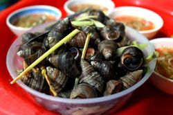 Tuyệt chiêu luộc ốc cực ngon