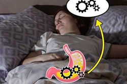 Điều gì xảy ra khi đi ngủ ngay sau bữa ăn?