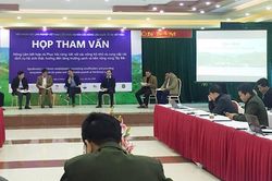 Họp tham vấn nông lâm kết hợp và phục hồi rừng