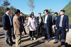 Triển khai ngay các biện pháp cấp bách bảo vệ nguồn nước sinh hoạt của Thành phố
