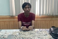 Kẻ trộm 460 chỉ bạc bị bắt sau 8 giờ gây án