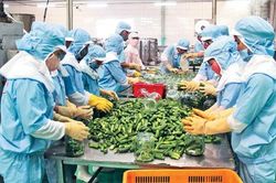Việt Nam có 7 mặt hàng nông lâm thủy sản xuất khẩu đạt trên 2 tỷ USD