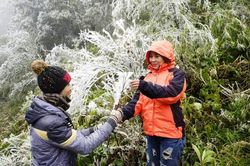 Dự báo thời tiết 7/12: Miền Bắc vẫn rét căm căm, vùng núi có băng