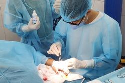 Bệnh xá đảo Nam Yết phẫu thuật thành công cho ngư dân bị tai nạn trên biển