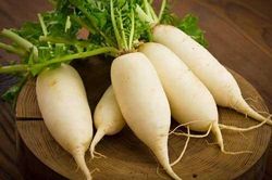 5 loại rau củ sử dụng hàng ngày gúp thải độc cơ thể hiệu quả