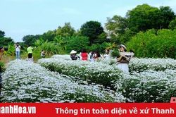Thợ ảnh 'đắt khách' mùa dịch vụ chụp ảnh cùng hoa