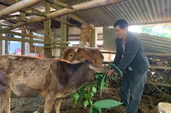Pleiku quan tâm hỗ trợ người nghèo