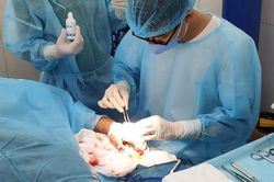 Bệnh xá đảo Nam Yết: Cấp cứu ngư dân bị dập tay