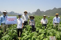 Viện Thuốc lá: Hướng tới trình độ Khoa học công nghệ hàng đầu tại Đông Nam Á