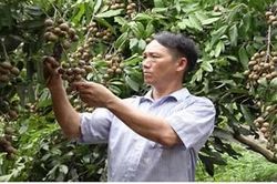 Đất không phụ công người