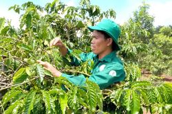 Rơ Châm Chyur đi đầu phong trào thi đua vùng đồng bào dân tộc thiểu số