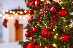 Vì sao người ta thường dùng cây thông để trang trí trong dịp Giáng sinh?