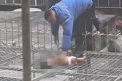 Bé gái 4 tháng tuổi bị mẹ ném xuống từ tầng 5 nhưng bố không cho nhập viện và nguyên nhân gây phẫn nộ
