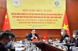 Những mặt hàng nông sản nào sắp được xuất chính ngạch sang Trung Quốc?