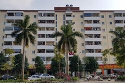 Hy hữu ở Thái Bình: Rơi xuống từ tầng 8, bé trai thoát chết