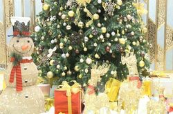Thắp sáng cây thông Noel khởi động mùa lễ hội