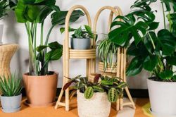 5 dấu hiệu cho thấy ngôi nhà có phong thủy tốt