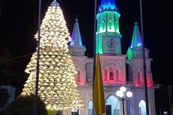 Độc đáo cây thông noel được kết từ 1.000 chiếc nón lá