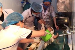 Bé trai bị nhiễm trùng vì được chữa bỏng bằng nước mắm và rượu
