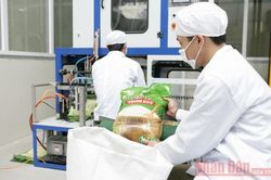 Giá trị cao, gạo Việt tự tin chinh phục thị trường