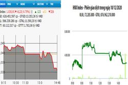 Nhiều mã lớn giảm sâu, VN-Index mất hơn 8 điểm
