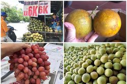 Sự thật các loại hoa quả 'rẻ như cho' bán đầy chợ