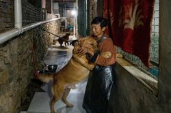 Người phụ nữ nuôi hơn... 1.300 con chó, 100 con mèo